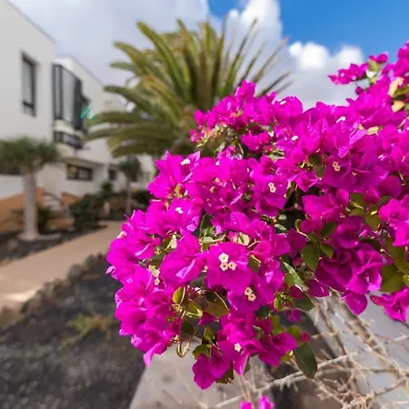 Casa Isa Amaya דירה *