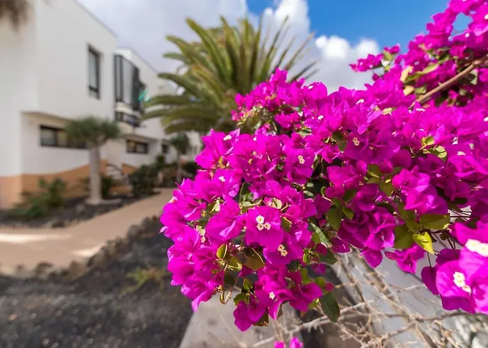 Casa Isa Amaya דירה *